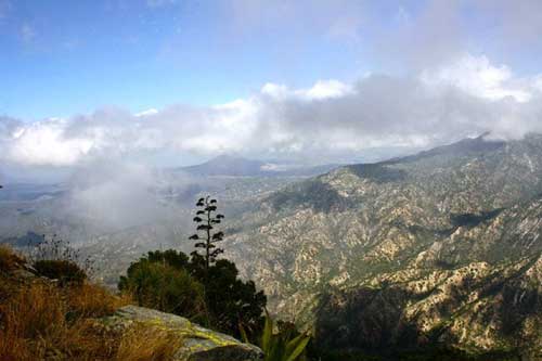 Sierra del la Laguna Mountains